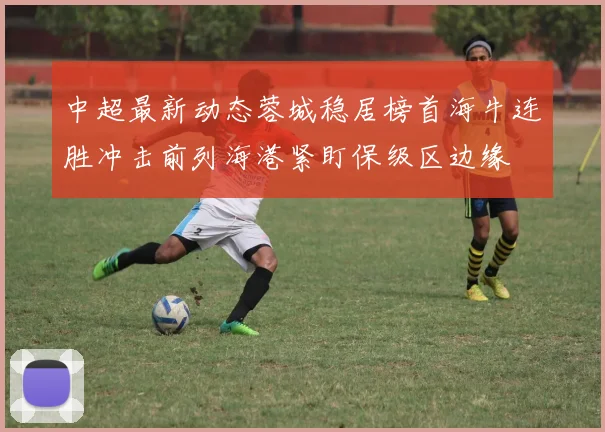 中超最新动态蓉城稳居榜首海牛连胜冲击前列海港紧盯保级区边缘