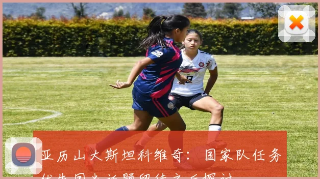 亚历山大斯坦科维奇：国家队任务优先国米话题留待之后探讨