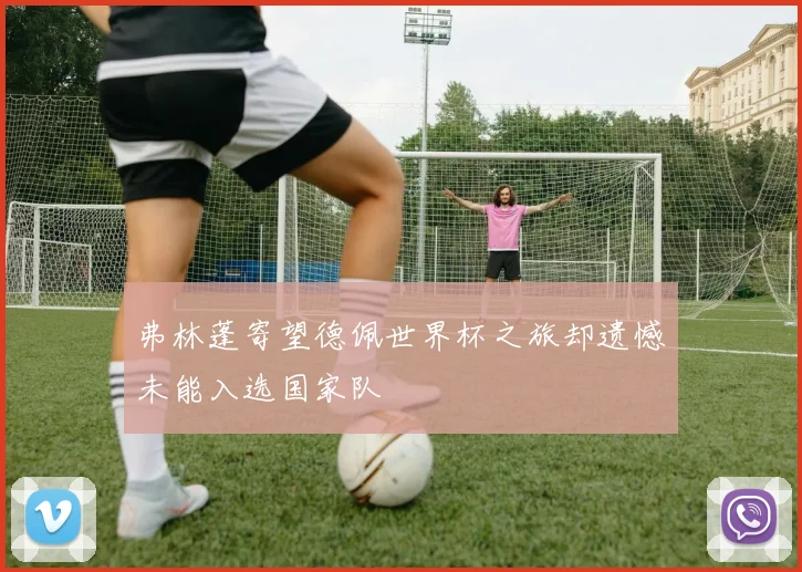 弗林蓬寄望德佩世界杯之旅却遗憾未能入选国家队